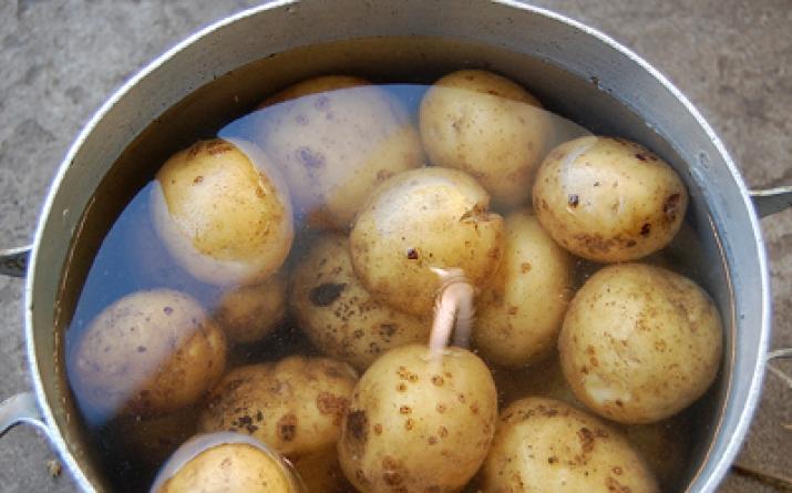 Сборник рецептур блюд и кулинарных изделий Технологическая схема приготовления зраз картофельных