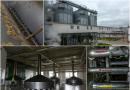 Основные процессы производства пива и их назначение