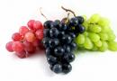 Kakšno sadje lahko jeste, če imate razjedo na želodcu: seznam dovoljenih, pozitiven učinek na delovanje želodca in vzorčni meni za razjedo Katere jagode lahko jeste, če imate razjedo na dvanajstniku?