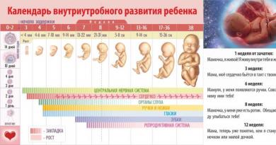 جنس الطفل حسب تاريخ الحمل - أكثر الطرق دقة
