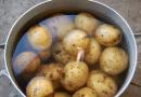 Συλλογή συνταγών για πιάτα και μαγειρικά προϊόντα Τεχνολογικό σχέδιο για την παρασκευή zraz πατάτας