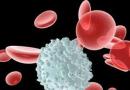 A vérsejtek, vörösvérsejtek, leukociták, vérlemezkék, Rh-faktor szerkezete - mi ez?