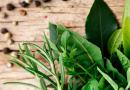 ما هو الفرق بين الأعشاب الايورفيدا والأعشاب العادية؟