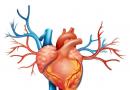 علاج التهاب التامور القلب مع العلاجات الشعبية